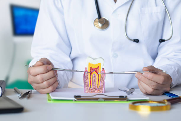 Best Pediatric Emergency Dentist in Kenton, TN